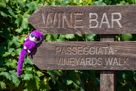 Soft plush toy enjoying sunlight on signboard against plants at vineyardの写真素材