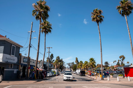 Cars moving on street by shops and palm trees at Santa Cruz Beach Boardwalkの写真素材