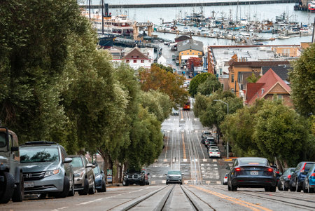 Cable car tracks on steep road amidst trees leading towards harbor