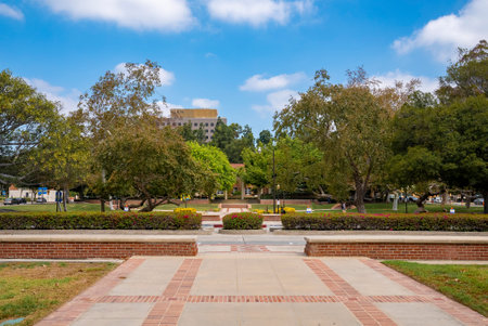 Trees growing in garden at campus of the University of California, Los Angeles