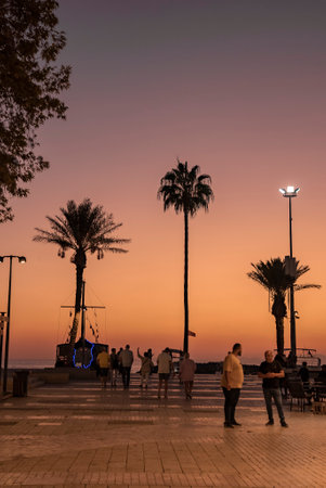 Tourists walking on footpath leading towards silhouette palm trees at duskの写真素材