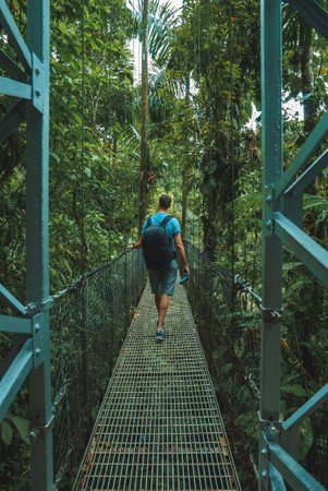Hiking in green tropical jungle, Costa Rica, Central Americaの写真素材