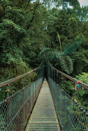 Hanging Bridge, Monteverde Cloud Forest, Costa Ricaの写真素材