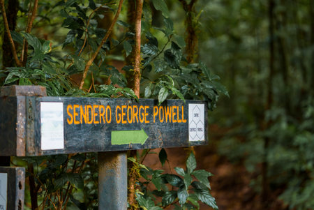 Signboard with hiking trail direction in forestの写真素材