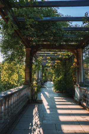 Creeper plants covering old colonnade at The Hill Garden and Pergolaの写真素材