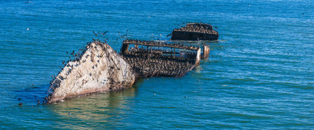 Old ship wreck near the coast, now home to many birds like pelicans and sea gulls. Ship wreck aerial view.の写真素材