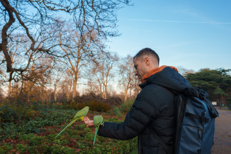 Man Studying a Plant in a London Park Amidst the Autumn Season