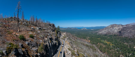 Mountain road in California through the forest