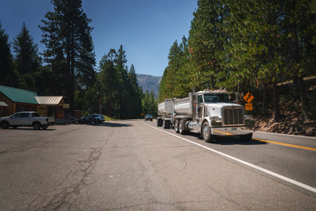 American truck on road with pine trees, clear blue sky