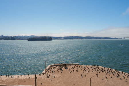 Alcatraz Island outdoor area with cityscape and bay view
