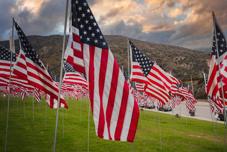 American Flags Fluttering in Wind Over California Hills