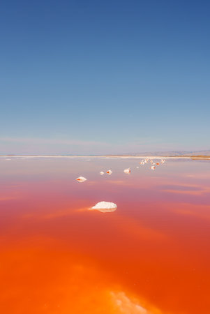 Vibrant Pink Lake with Salt Formations, Alviso Park, CAの写真素材
