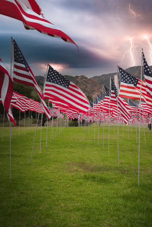 Dramatic American Flags Display in Grassy California Fieldの写真素材