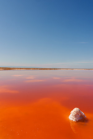 Vibrant Pink Lake with White Salt Formation, Alviso Pink Lake Park, Californiaの写真素材