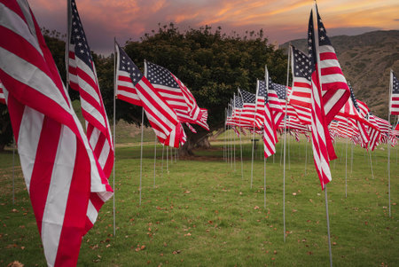 American flags in scenic California field, sunset atmosphere