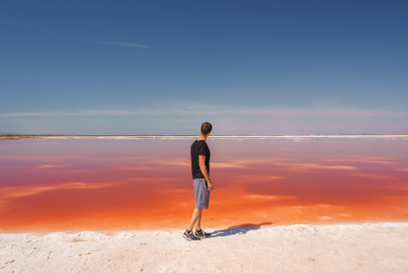Person in Casual Attire Facing Pink Lake at Alviso Parkの写真素材