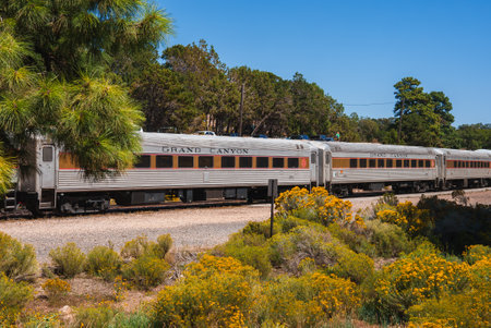 Grand Canyon Railway Passenger Train Amidst Scenic Landscapeの写真素材