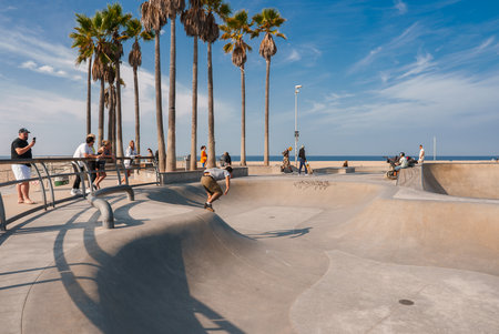 Vibrant Skatepark Scene with Skaters in Action, Venice Beach, Los Angeles.