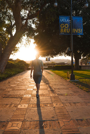 Person walking along tree lined path at UCLA campus.の写真素材