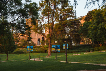 UCLA Bruin Bear on the University of California, Los Angeles, campus.の写真素材