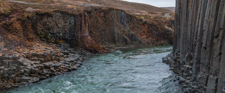 Aerial View of River Flowing Through Canyon with Tall Basalt Columns in Iceland