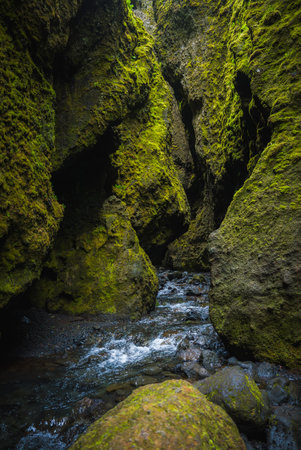 Narrow Moss-Covered Canyon with Flowing Stream in Icelands Rugged Landscapeの写真素材