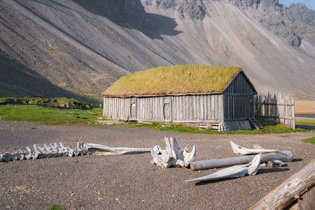 Traditional Icelandic Turf House with Grass Roof and Rugged Mountain Backdropの写真素材
