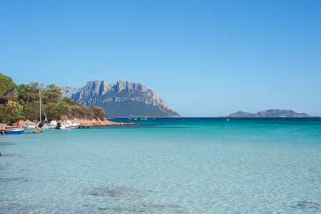 Serene Sardinian Beach with Tavolara Island in the Backgroundの写真素材