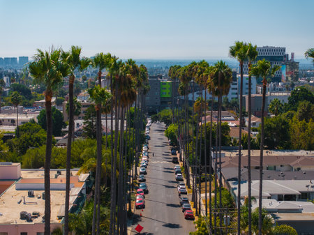 Palm Lined Street Leading to Los Angeles Skylineの写真素材