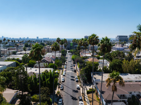 Aerial View of Residential Street in Hollywood, Los Angelesの写真素材