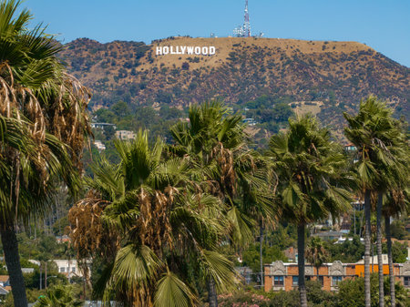 Hollywood Sign with Palm Trees and Rugged Hills in Los Angeles