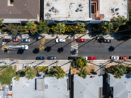 Aerial View of Palm Lined Street in Los Angeles with Parked Cars
