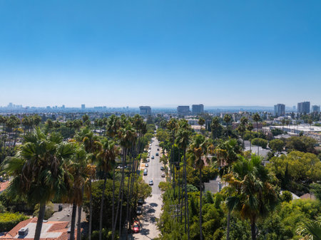 Aerial View of Palm Tree Lined Street and Skyline in Los Angelesの写真素材
