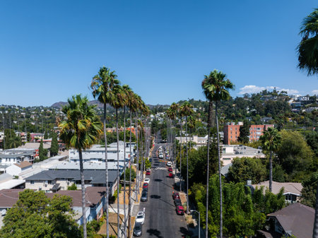 Aerial View of Palm Lined Street and Hollywood Hills in Los Angelesの写真素材