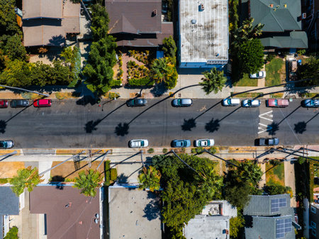 Aerial View of Residential Street with Palm Trees in Los Angelesの写真素材