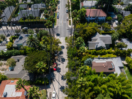 Aerial View of Los Angeles Residential Neighborhood with Palm Treesの写真素材