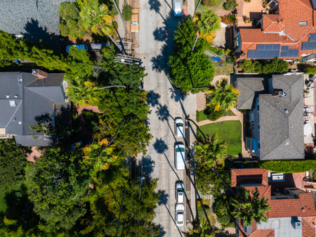 Aerial View of Residential Street with Palm Trees in Los Angelesの写真素材