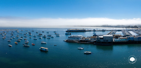 Aerial View of Monterey Marina with Sailboats and Waterfront Buildingsの写真素材