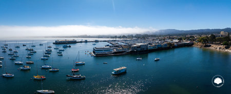 Aerial View of Monterey Harbor with Sailboats and Waterfront Buildingsの写真素材