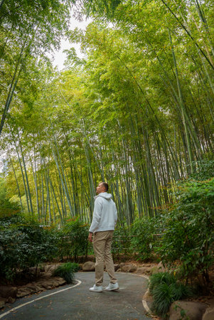 Serene Bamboo Forest Path with Person Near Shanghaiの写真素材