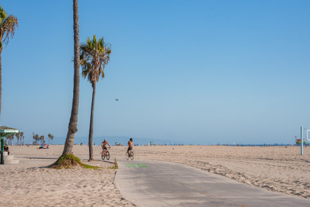 Sunny Day at Venice Beach with Bicyclists and Palm Treesの写真素材