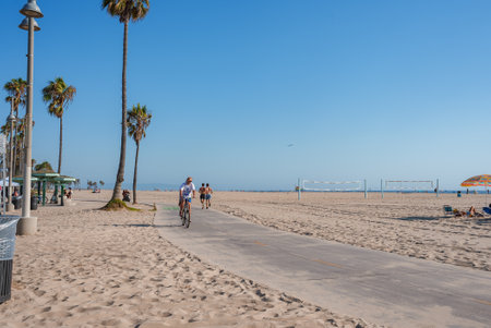 Cyclist on Paved Path at Venice Beach with Palm Trees and Beachgoersの写真素材