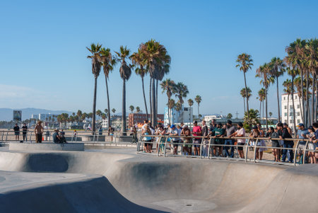 Venice Beach Skatepark with Spectators and Palm Trees in Los Angelesの写真素材