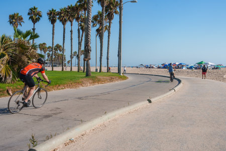 Cyclist on Paved Path at Venice Beach with Palm Trees and Beachgoersの写真素材