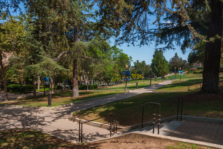 Campus Scene with Pathways, Trees, and School Banners