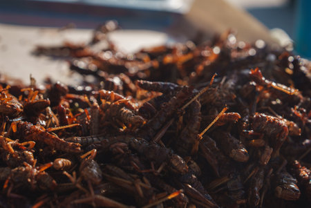 Close Up of Fried Insects at a Thai Street Food Marketの写真素材