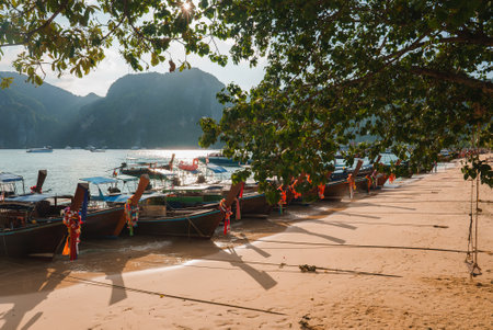 Traditional Long Tail Boats on a Sandy Beach in Koh Phi Phi, Thailandの写真素材