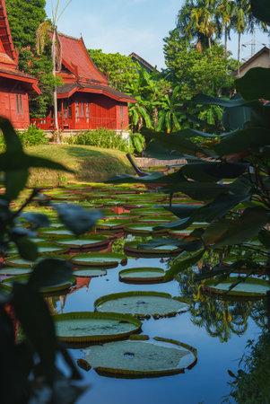 Serene Pond with Lily Pads and Traditional Thai Red Wooden Buildingの写真素材