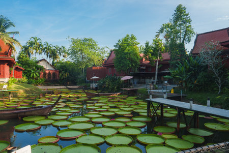 Lily Pad Pond with Thai Style Buildings and Wooden Bridge in Thailandの写真素材
