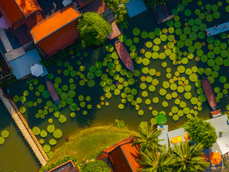 Aerial View of Lotus Pond and Traditional Thai Architecture in Thailandの写真素材
